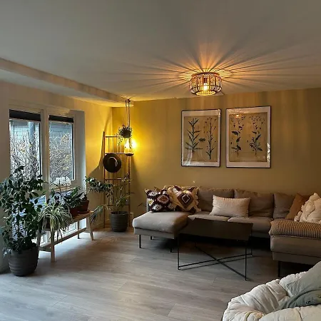 Apartment Cozy, And Spacious