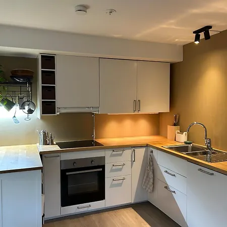 Apartment Cozy, And Spacious *