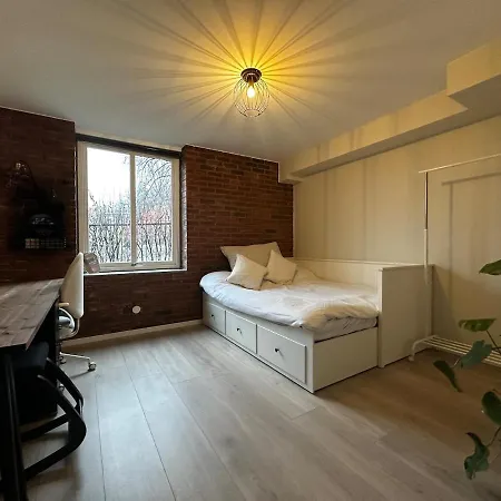 Cozy, And Spacious Apartment Oslo