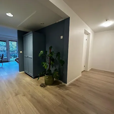 Apartment Cozy, And Spacious *